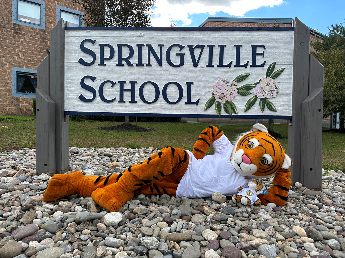 Stripes posing in front of Springville