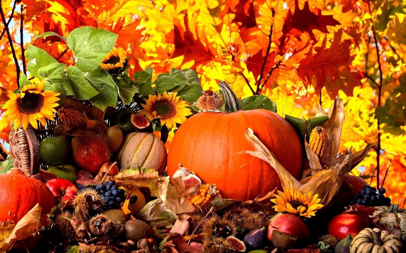 Fall Harvest
